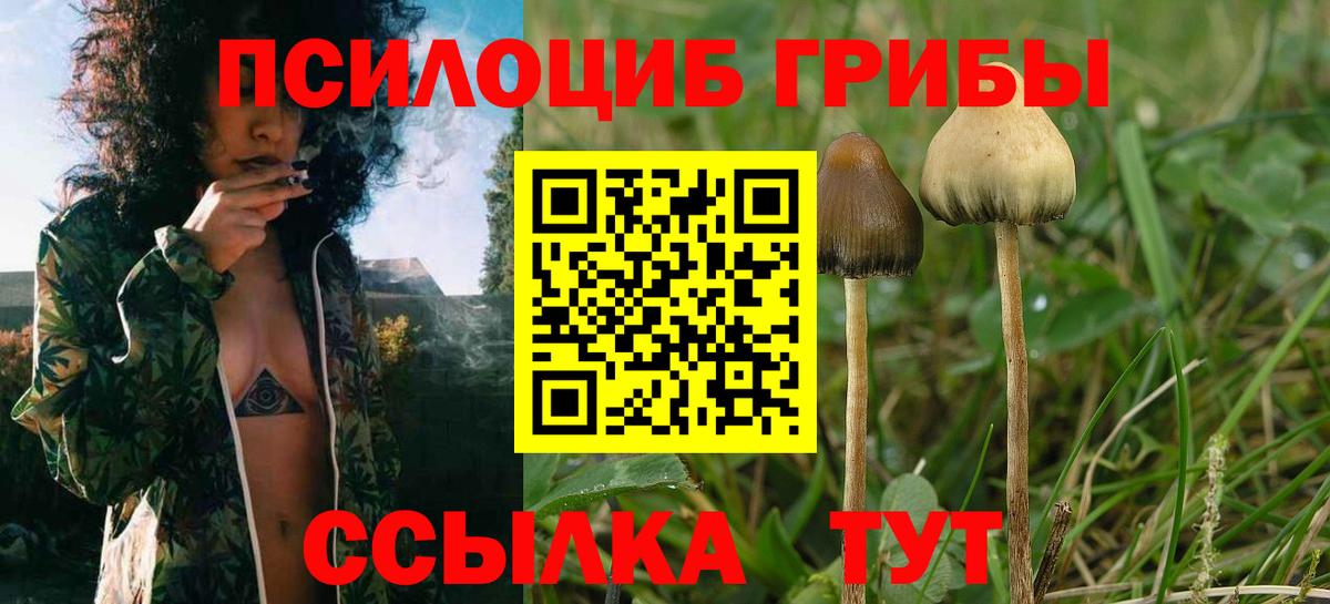 Галлюциногенные грибы GOLDEN TEACHER  Псилоцибиновые грибы прущие грибы  Ленинск-Кузнецкий  Вход с VPN 