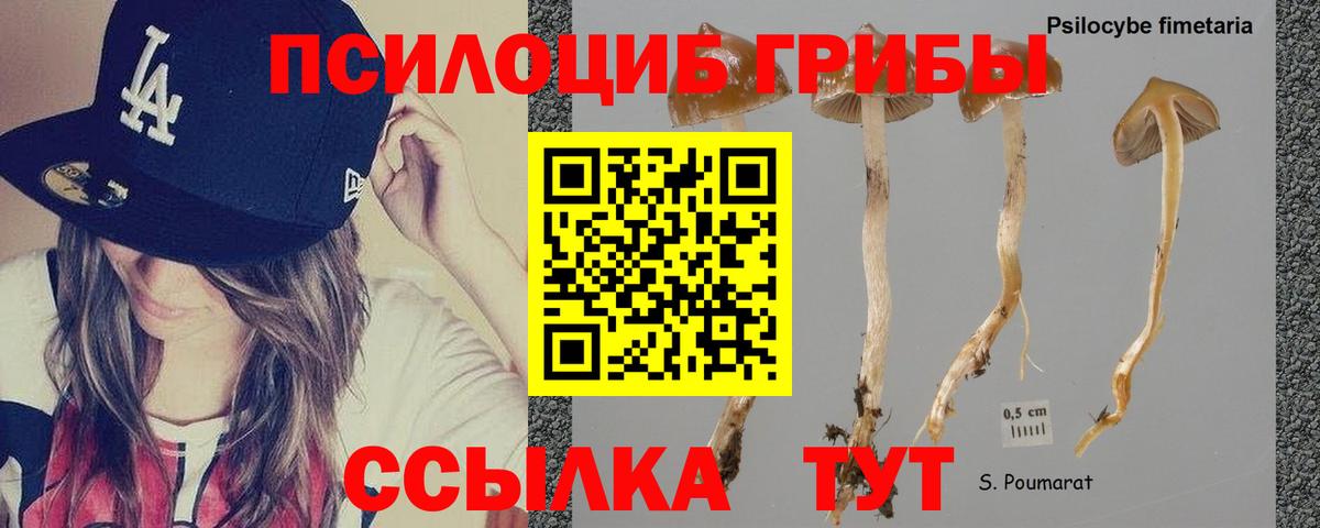 Псилоцибиновые грибы GOLDEN TEACHER Ленинск-Кузнецкий